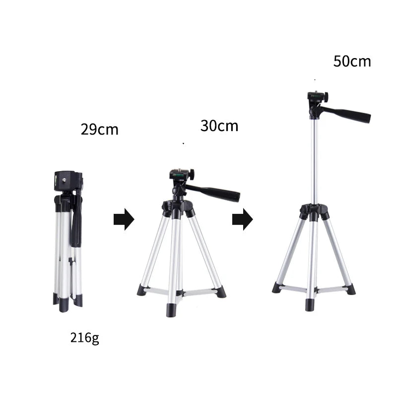 10-Inch LED Ring Light with Tripod & Phone Holder